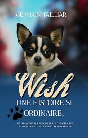 Wish (Broché)