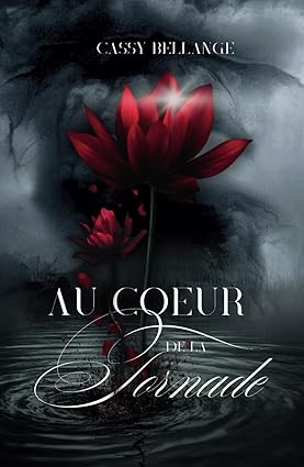 Au cœur de la tornade (Relié)